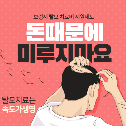 보령시 탈모 지원금