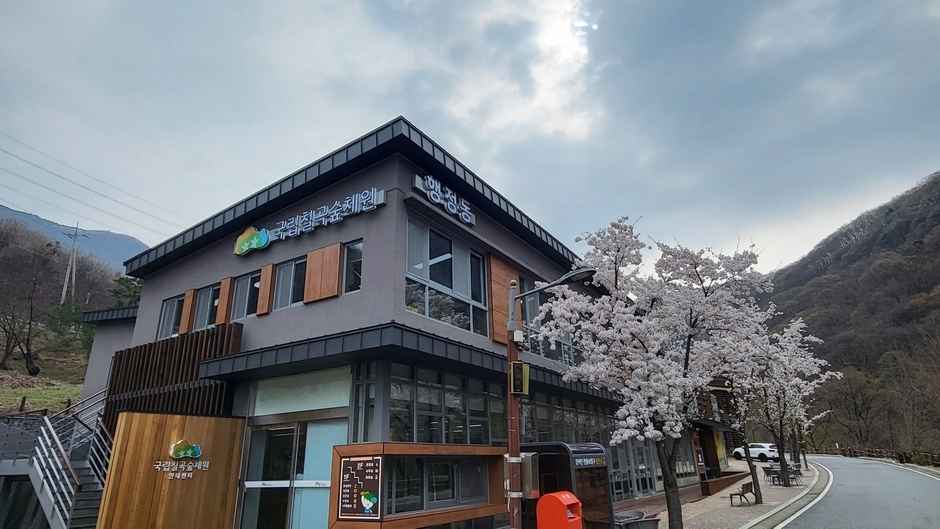 국립칠곡숲체원