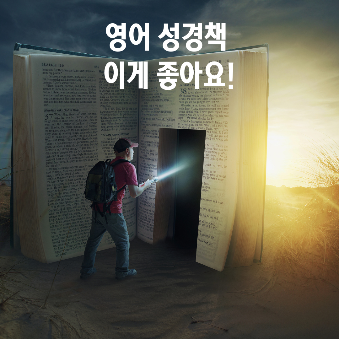 영어 성경 추천 버전