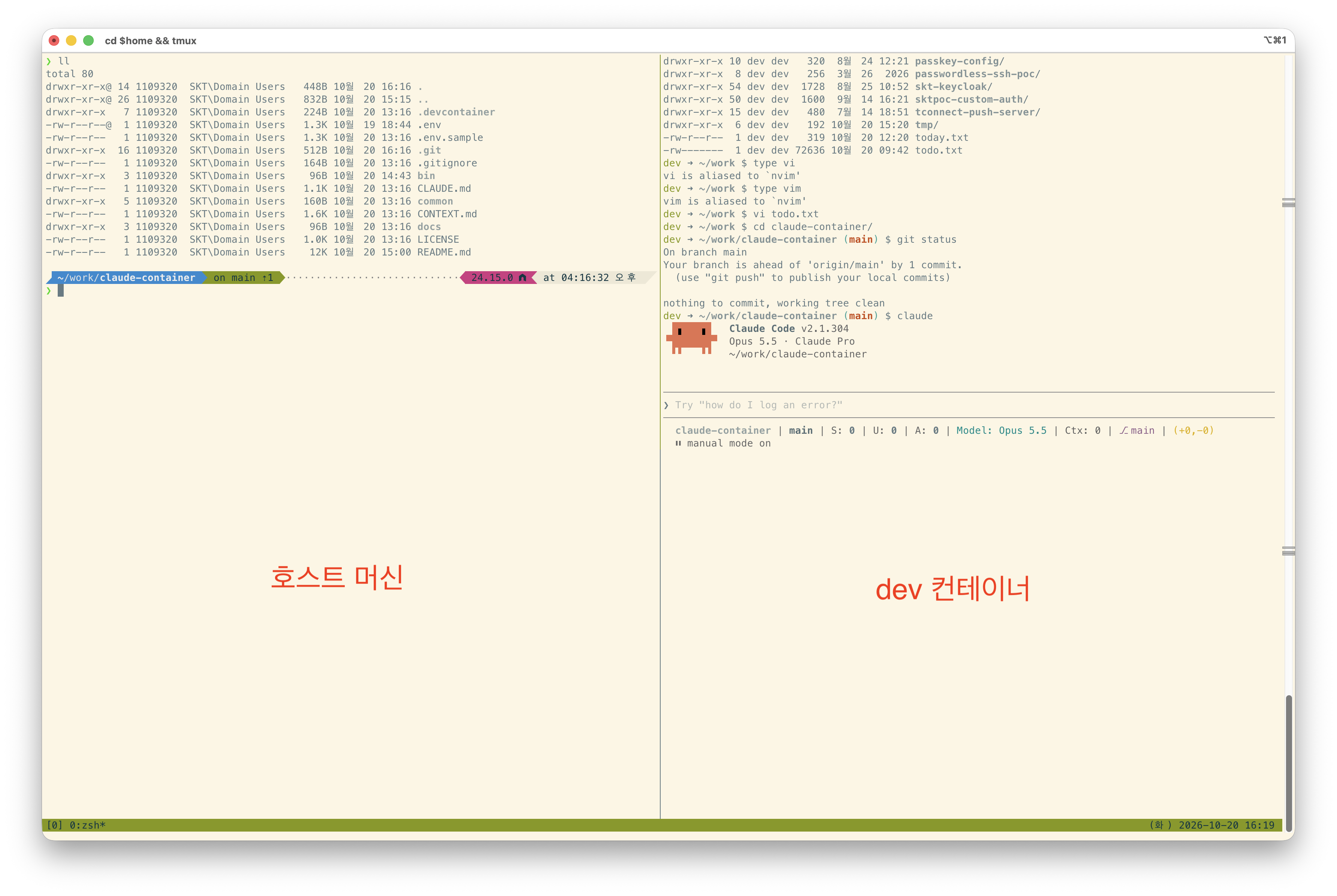 devcontainer 실행화면
