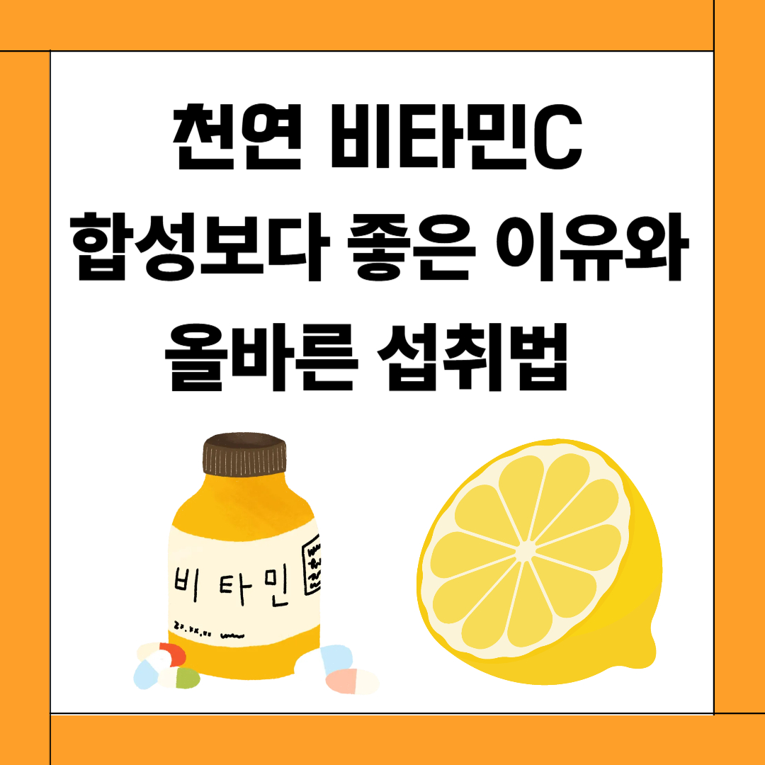 천연 비타민C, 합성보다 좋은 이유와 올바른 섭취법