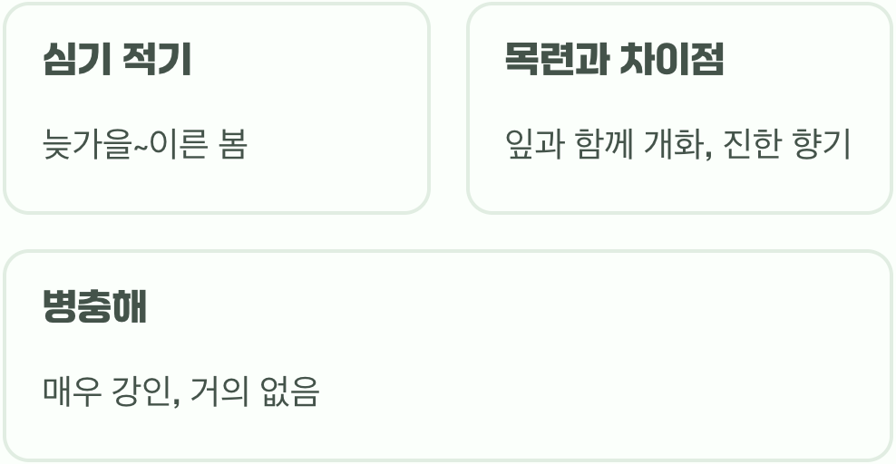 함박꽃나무 키우기 A to Z (묘목 심기부터 관리까지)