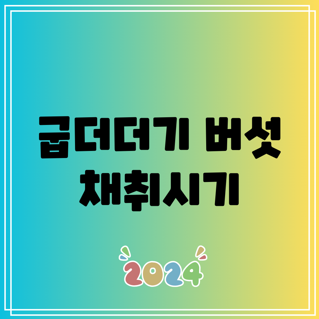 굽더더기 버섯 채취시기