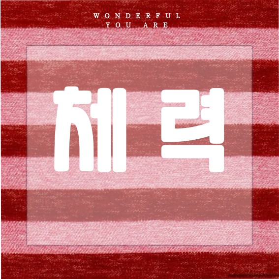 체력 관리 핵심 가이드: 유산소와 근력의 모든 것