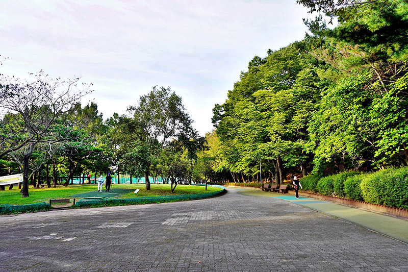 화정파크골프장 (화정 은빛공원 파크골프장)