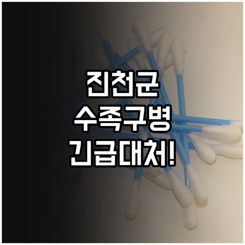 진천군 수족구병 예방 수칙과 단계별 ..