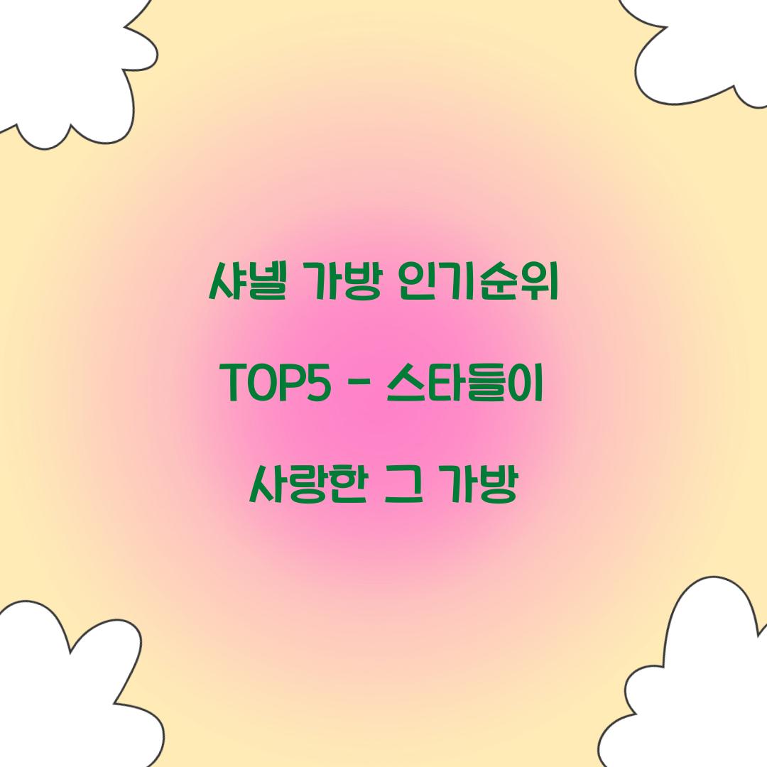 샤넬 가방 인기순위