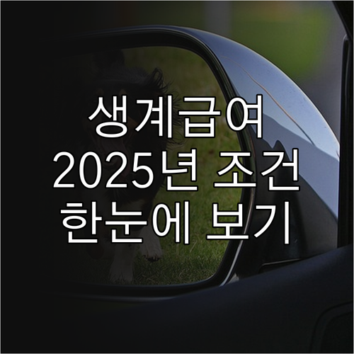 2025년 생계급여 수급 자격, 지원..