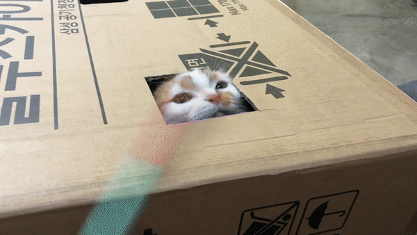 고양이먹이퍼즐만들기