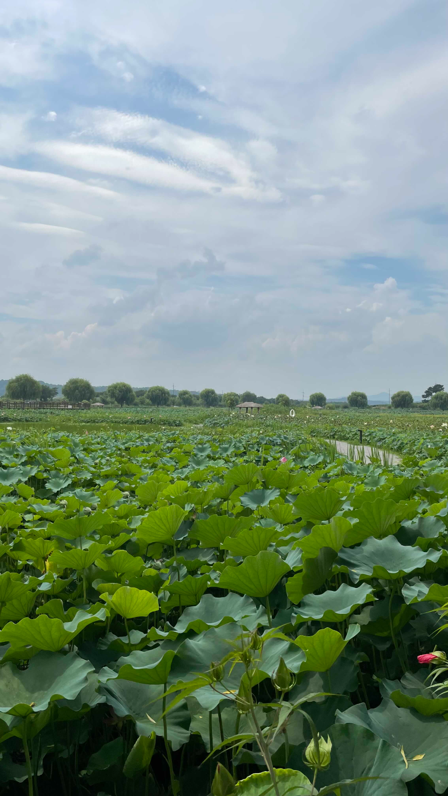 합덕제 수변공원