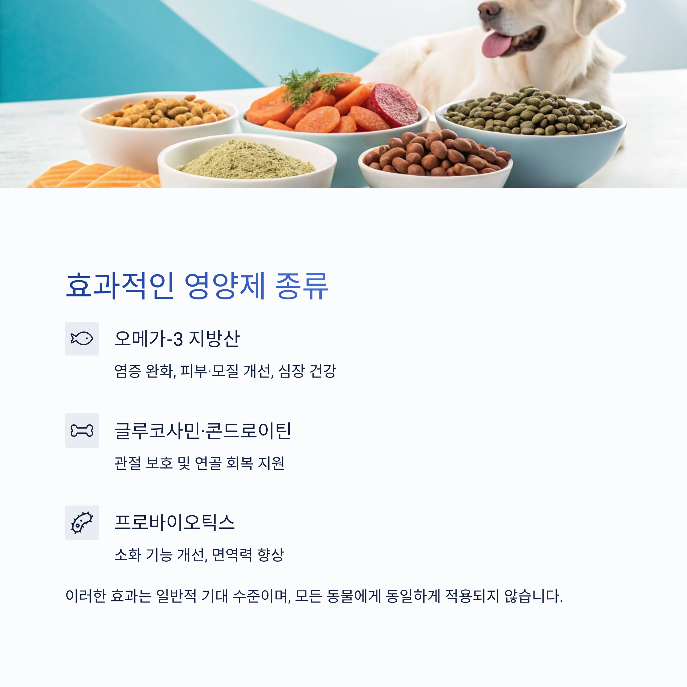 효과적인 영양제 종류