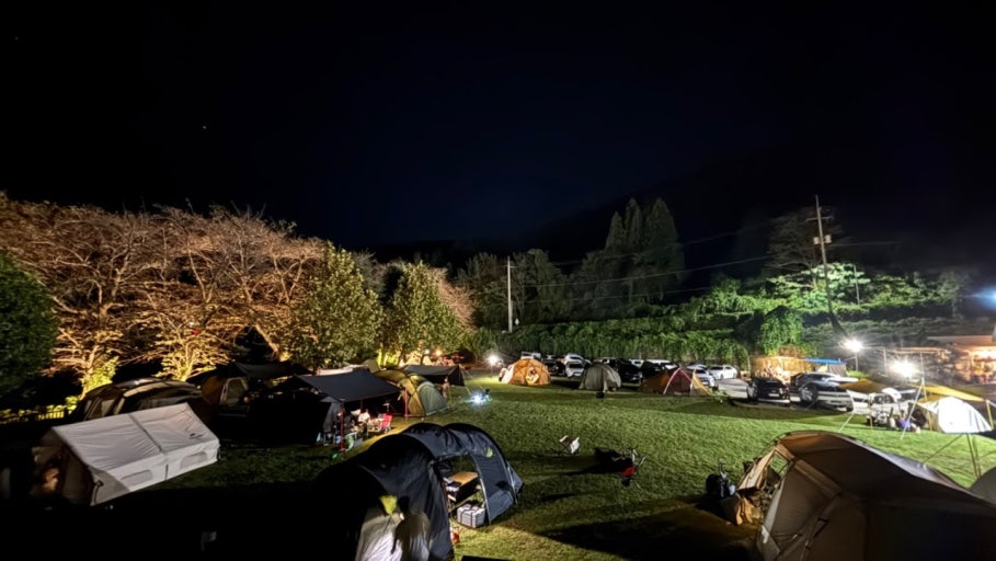 전국 캠핑 페스티벌 3곳 비교 – 숙박, 체험, 음식은 어디가 최고? 관련 사진