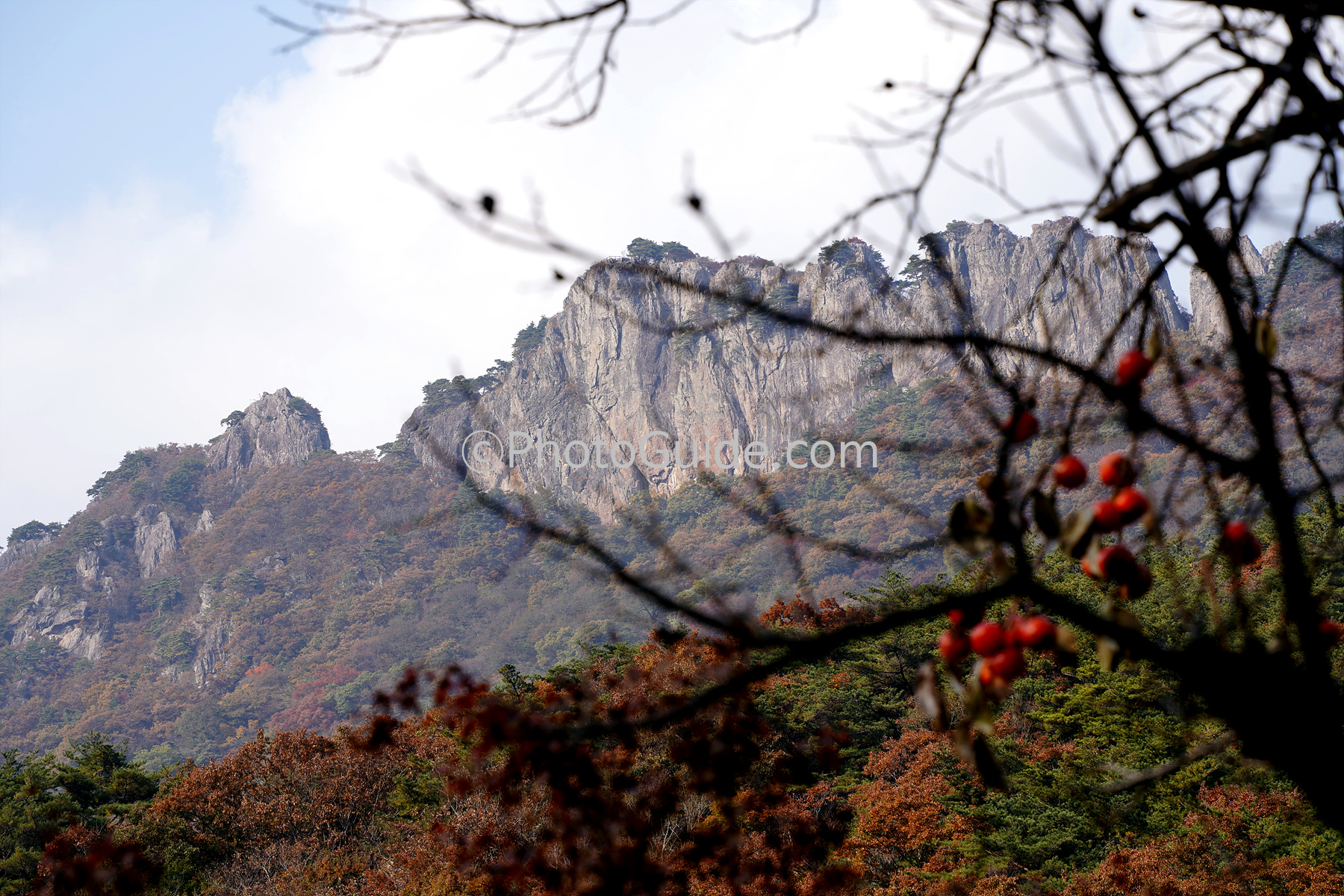 산