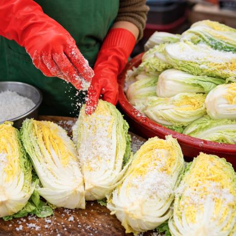 배추 절이는 법 핵심 요약본! 김장배추 뒤집기 및 절이는