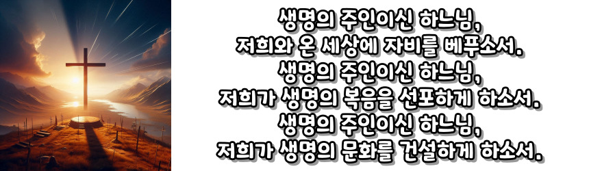 천주교 생명 운동 기도문
