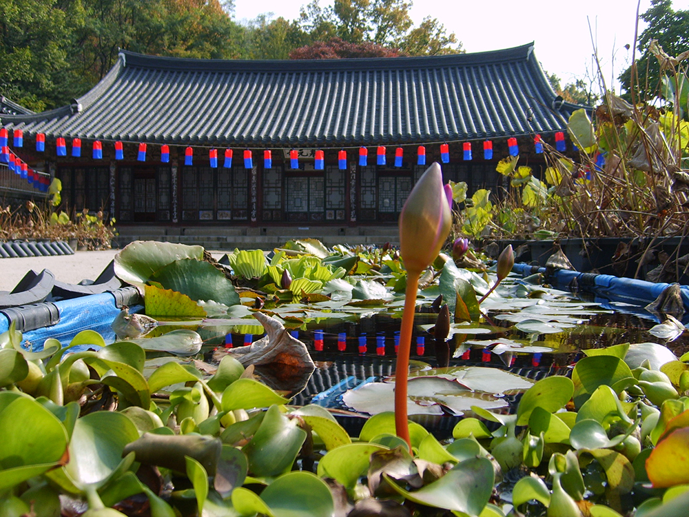 걷고 사랑하며: 서대문구 안산 봉원사(奉元寺, Bongwonsa)의 가을풍경