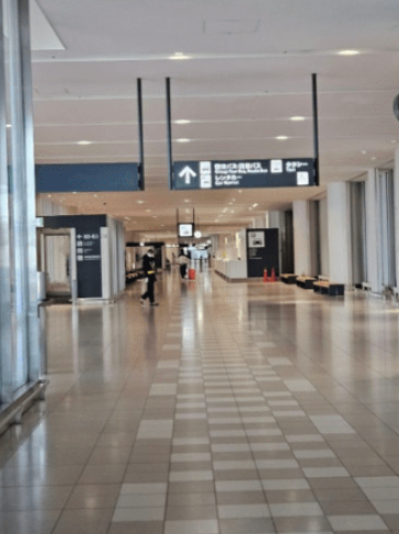 금액 상상이상으로 싼 버젯 렌트카 후기&amp;#44; 4일 렌트 14만원?