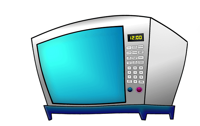 중고 전자제품 중고 전자레인지 구입 꿀팁