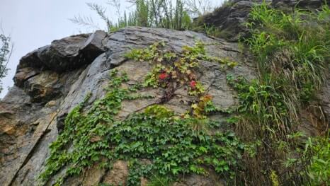 골프장 경험담 가평 베뉴지CC 전략적이면서도 경치 좋은 라운딩 산세를 살린 27홀 골프장