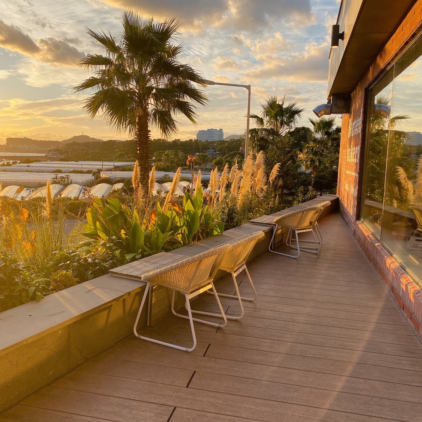 제주 쇠소깍 오션뷰 노을 맛집 보래드베이커스