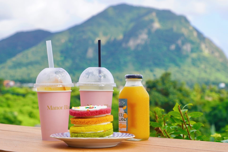 제주 핑크뮬리 명소 마노르블랑