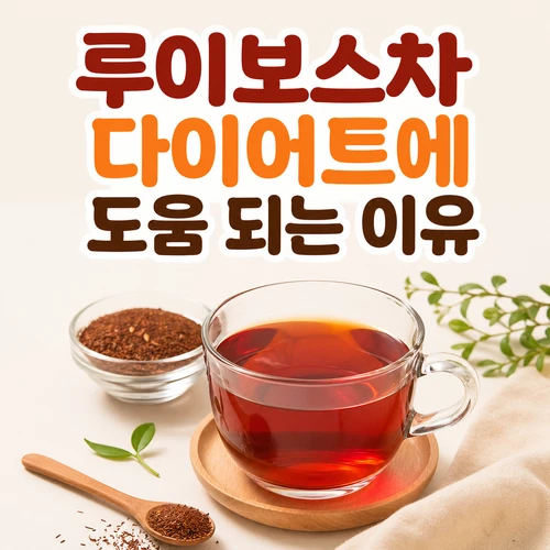 루이보스차 다이어트에 도움 되는 이유