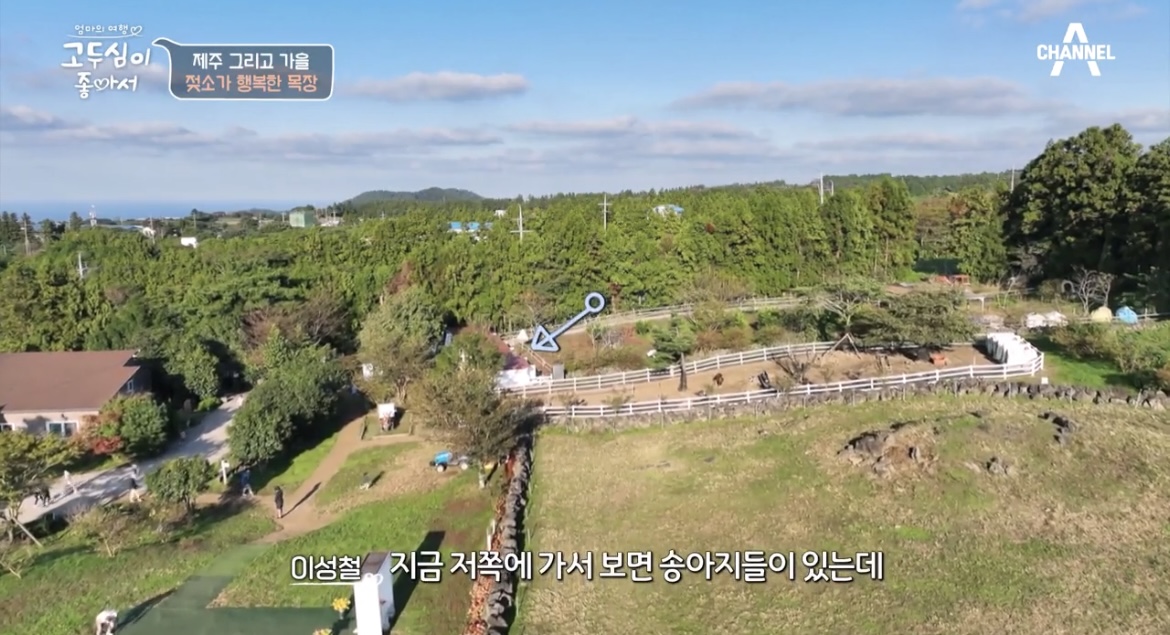 고두심이좋아서제주아침미소목장전경