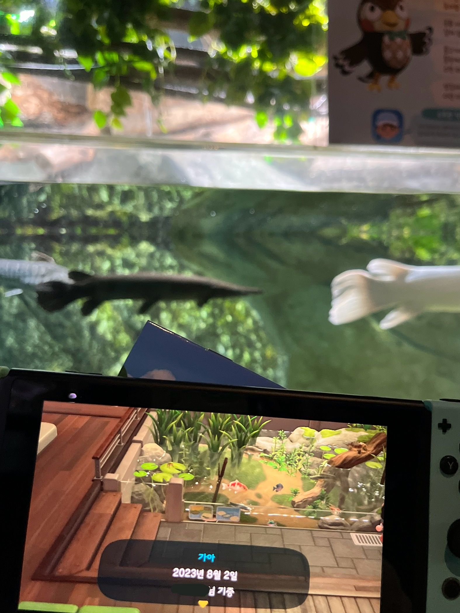 코엑스 아쿠아리움 동물의숲