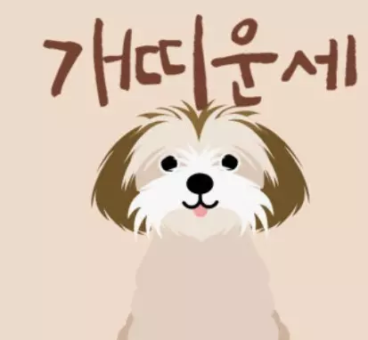 개띠 운세