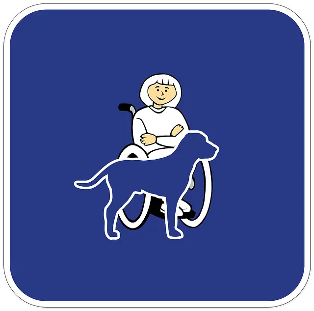 장애아동 양육수당 &amp;#44; 아동수당 2025