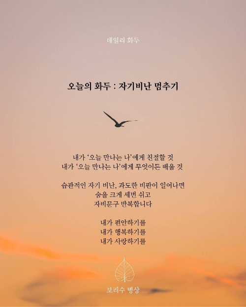 환희지의 보리수명성: 오늘의화두_자기비난 멈추기