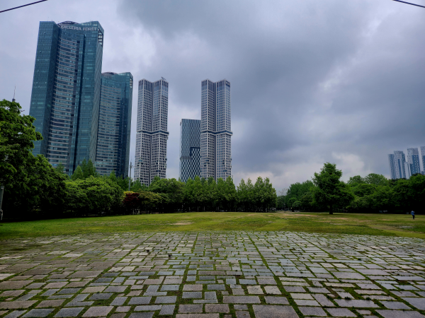 서울숲 가족마당으로 보이는 넓은 잔디밭과 돌길, 저 멀리 보이는 고층 아파트 단지