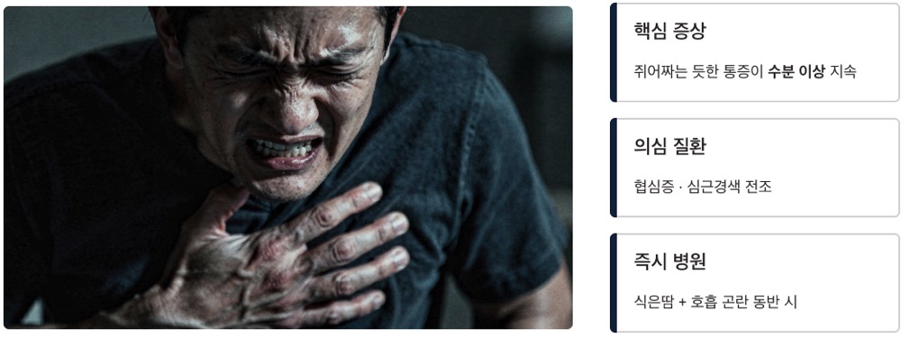 혈관 핵심 증상