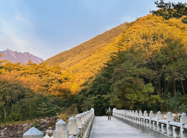 강원도 여행 추천: 나만의 코스 &명소 완벽 가이드