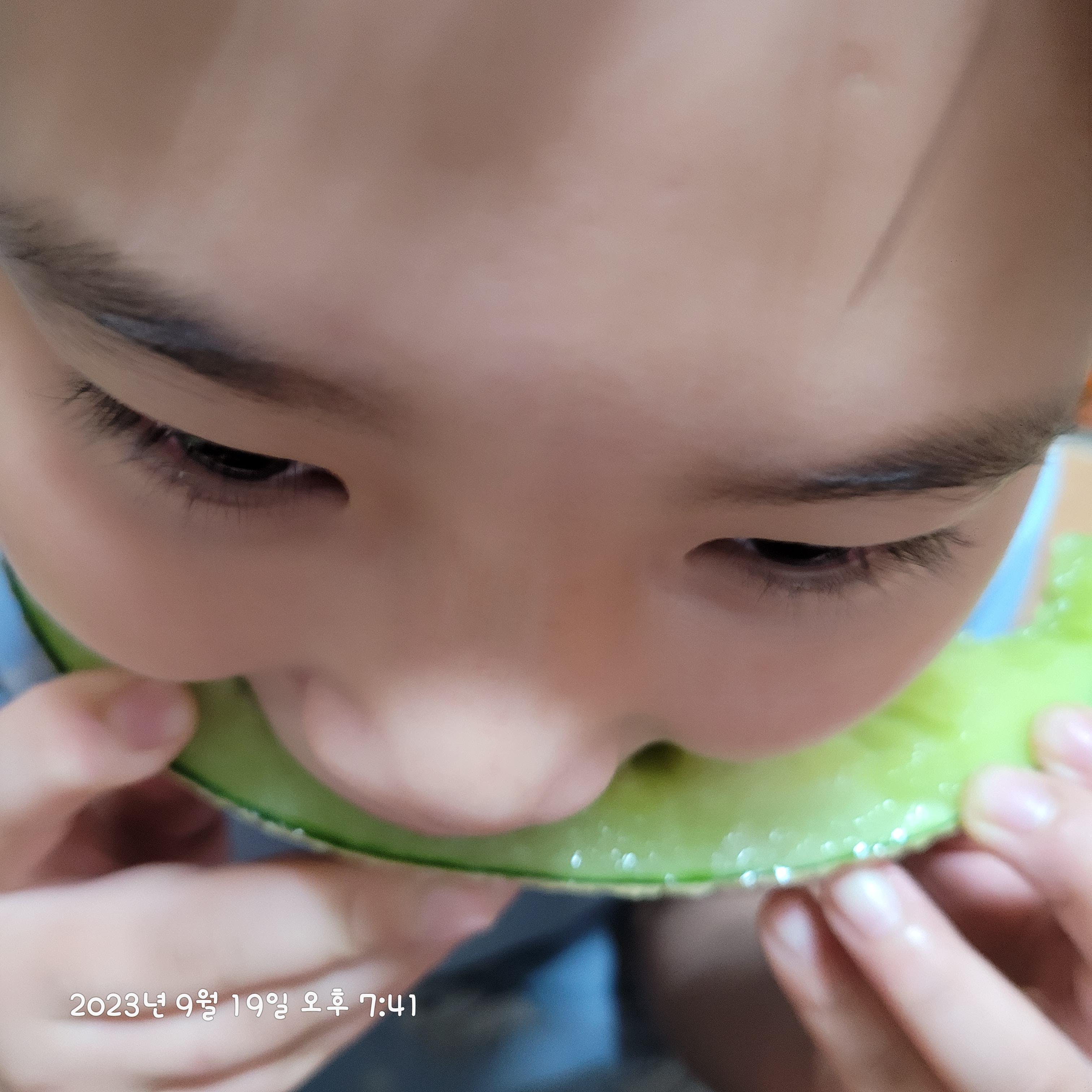 메론먹는방법