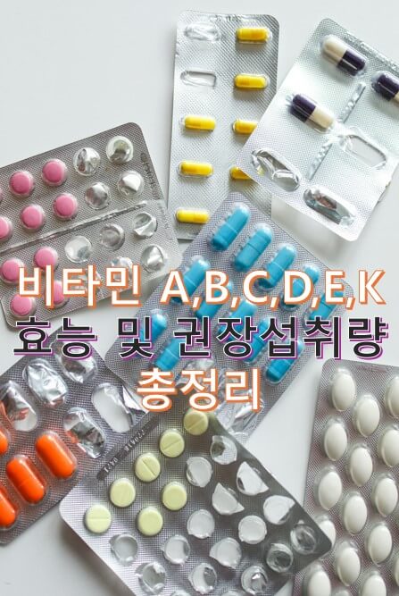 비타민 군 효능 및 권장섭취량