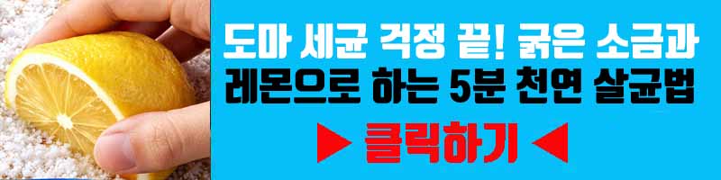 도마 세균 걱정 끝! 굵은 소금과 레몬으로 하는 5분 천연 살균법