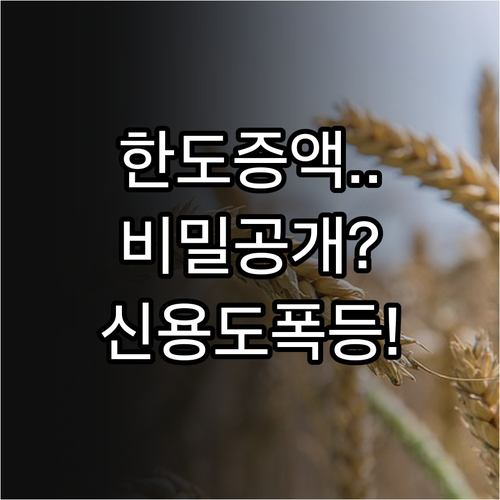 케이뱅크 마이너스통장 한도 증액 기준..