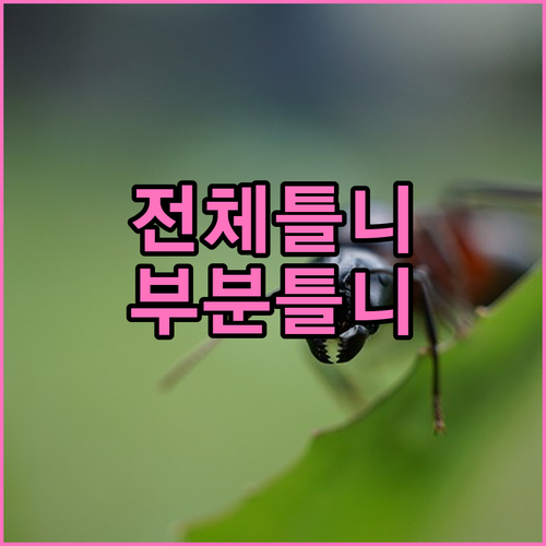 완전 틀니 vs 부분 틀니 장단점 비