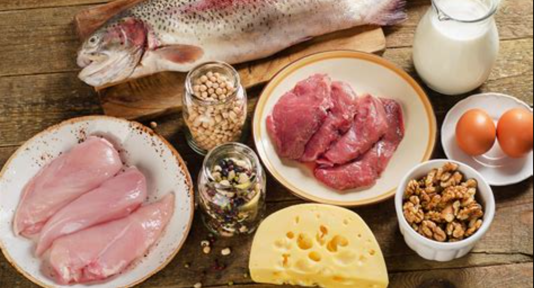 단백질 음식