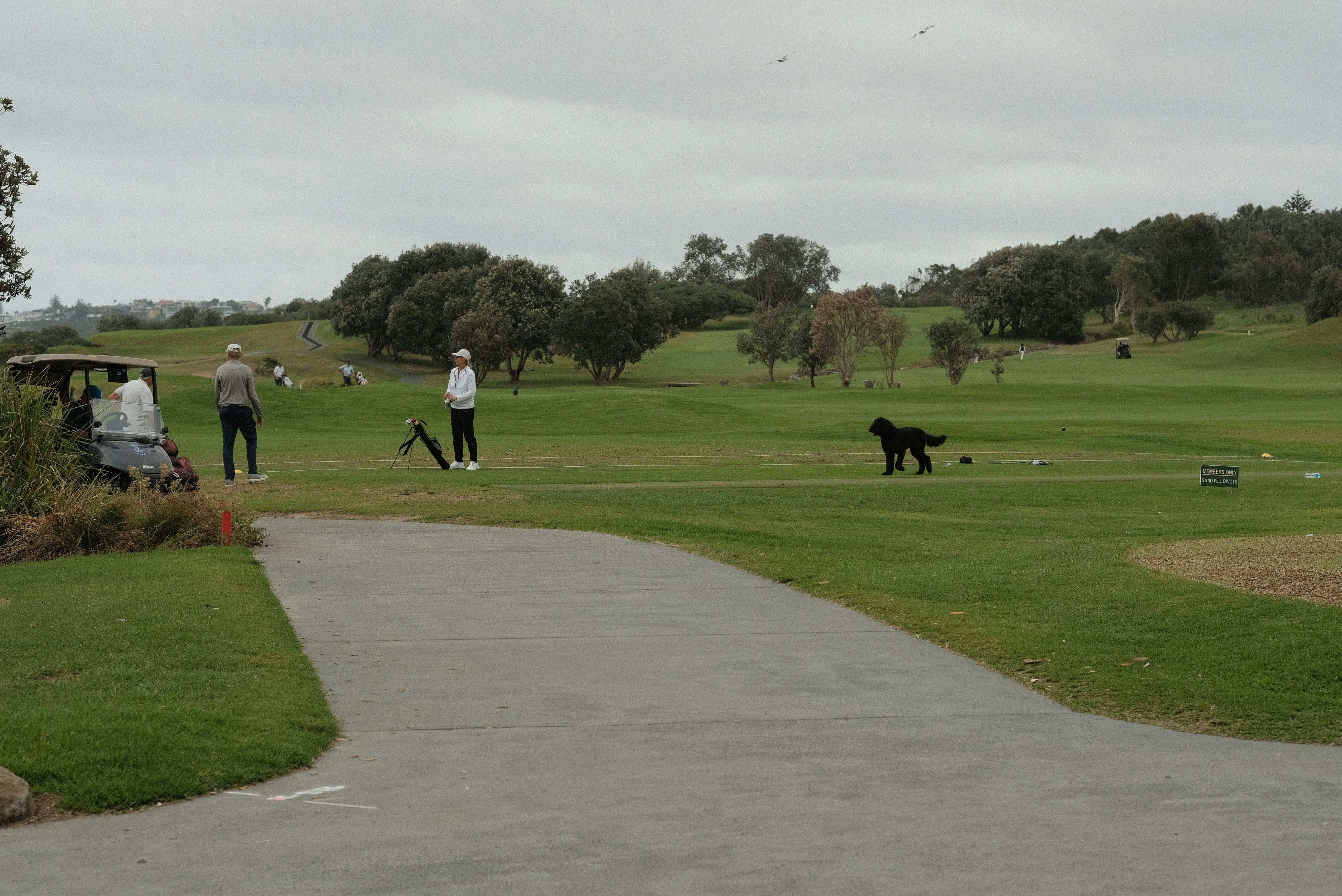 화순-파크골프장-예약