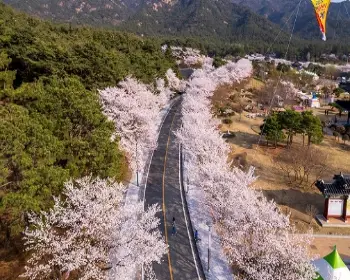영암왕인문화축제_15