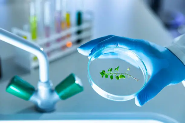 바이오 관련주 수혜주