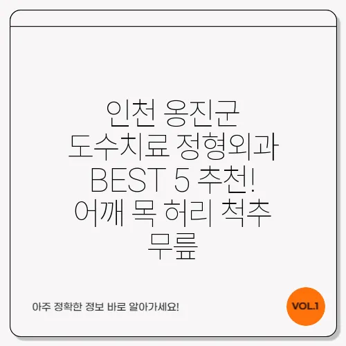 인천 옹진군 도수치료 정형외과 BEST 5 추천! 어깨 목 허리 척추 무릎