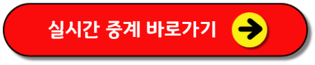 2025 세계선수권 배드민턴 안세영 경기 일정 시간