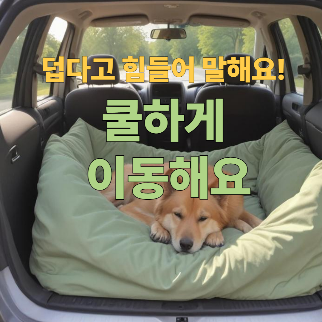 덥다고 힘들어 말해요! 쿨하게 이동해요 🚗🐾