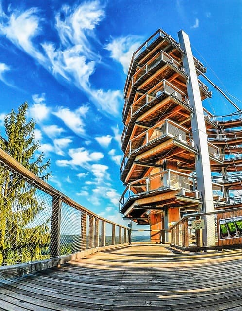 의식적 비효율(Strategic Inefficiency) – 생산성을 높이는 역설적인 방법