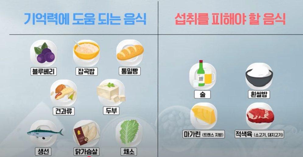 기억력에 도움되는 음식