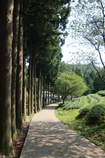 보성 가볼만한곳 베스트10 현지인 추천 필수코스_6