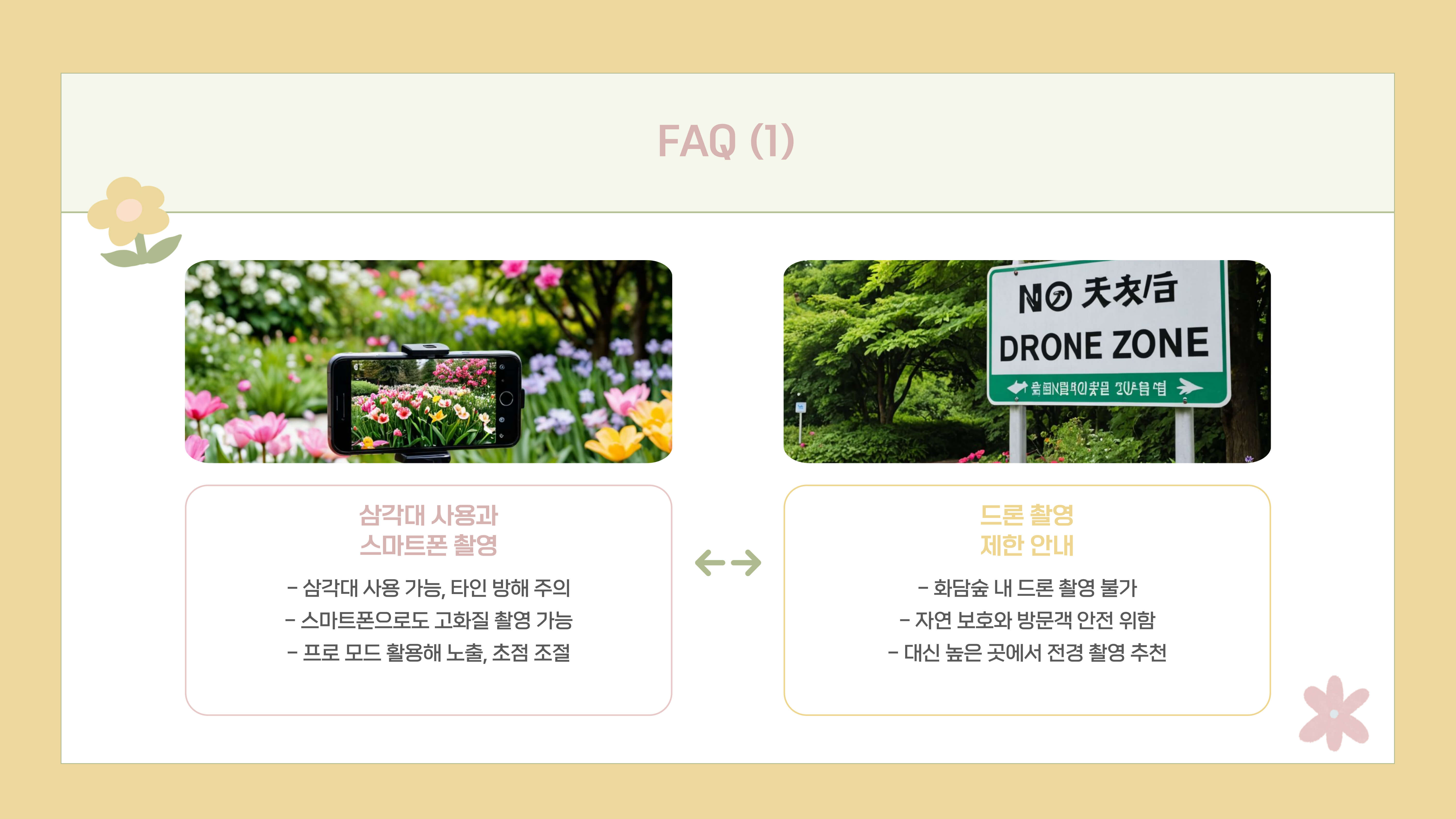 화담숲 봄꽃 사진 촬영 팁